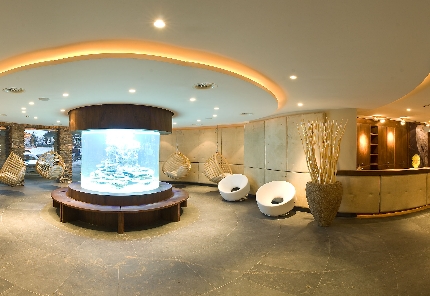 Hotel Alpenrose - Empfang