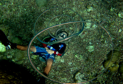 Taucher und Luftblasen Ringe