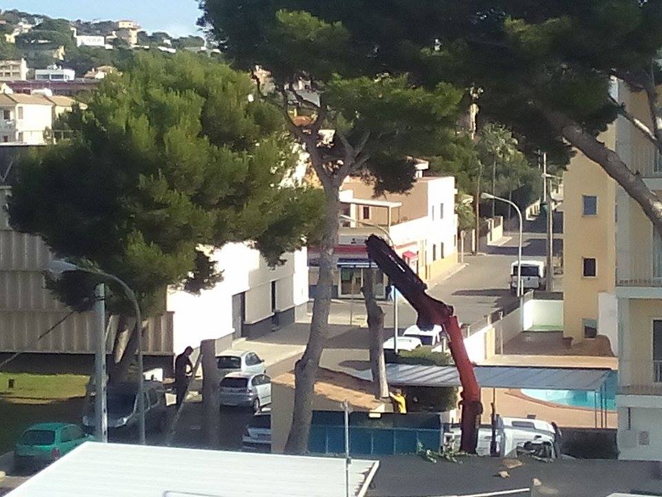 Cala Ratjada, Mallorca und City Reisebüro Schien