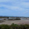 Ses Salines
