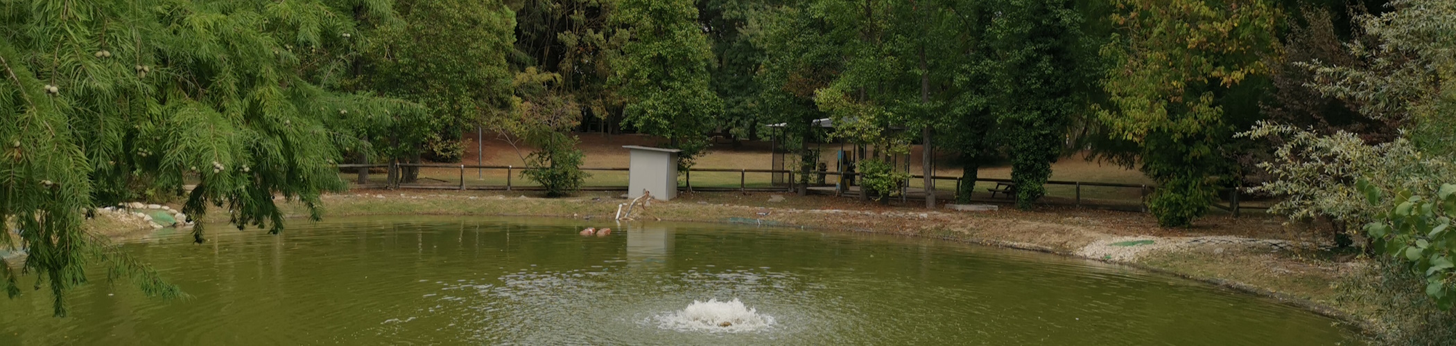 Park in Riccione, Parco da Riccione