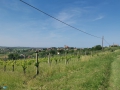 Coriano
