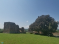 Coriano