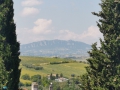 Coriano
