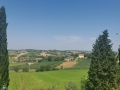 Coriano