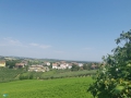 Coriano