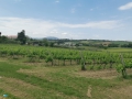 Coriano