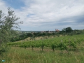 Coriano