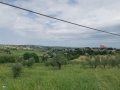 Coriano