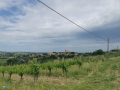 Coriano