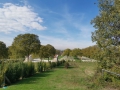 Coriano
