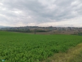 Coriano