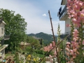 Gemmano