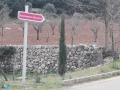 Lluc