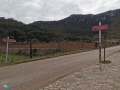 Lluc