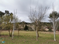 Lluc