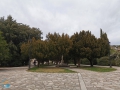 Lluc