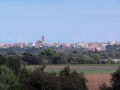 Muro