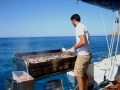 Partyboot „Blue Mediterraneum Tahiti 75“