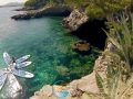 SUP (Stand Up Paddlel),schnorcheln, Klippenspringen mit Sea Safari Mallorca in und um Cala Ratjada