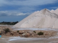 Ses Salines