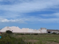 Ses Salines