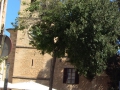 Son Servera