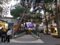 Riccione
