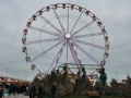 Riccione