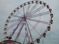 Riccione