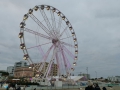 Riccione