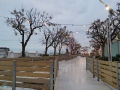 Riccione