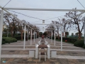 Riccione