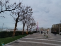 Riccione