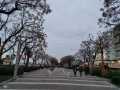 Riccione