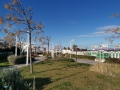 Riccione