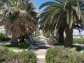 Riccione