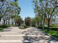 Riccione