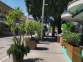 Riccione