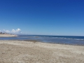 Riccione