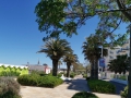 Riccione