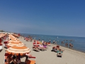 Riccione