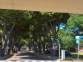 Riccione