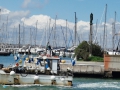 Rimini