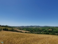Tavullia