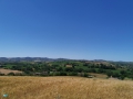 Tavullia