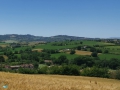 Tavullia
