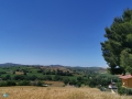 Tavullia