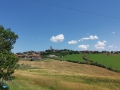 Tavullia