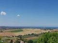 Tavullia